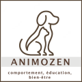 cropped-logo_header.png